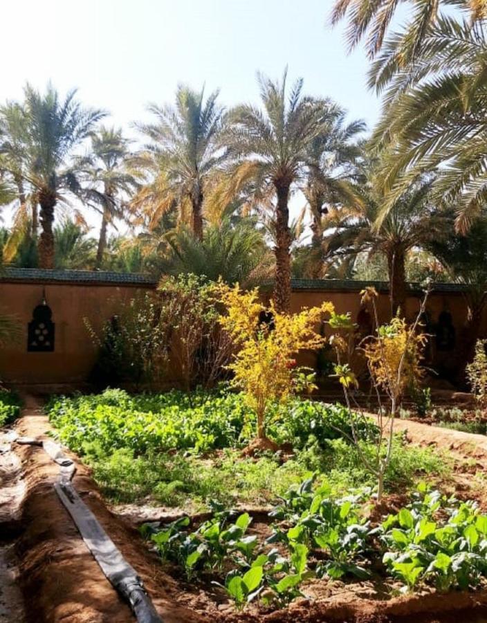 Riad Dar Sofian Загора Екстер'єр фото